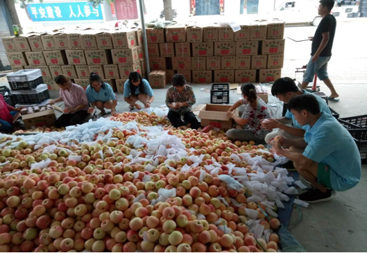 深入农户,体验生活